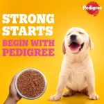 Pedigree Chicken and Liver Chunks in Gravy Pouch Puppy Dog Wet Food (130g) - Image 12