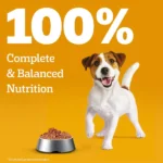 Pedigree Chicken and Liver Chunks in Gravy Pouch Puppy Dog Wet Food (130g) - Image 14