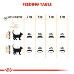 Royal Canin Hair & Skin Care Adult Dry Cat Food - Image 2