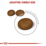 Royal Canin Hair & Skin Care Adult Dry Cat Food - Image 3