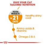 Royal Canin Hair & Skin Care Adult Dry Cat Food - Image 5