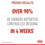 Royal Canin Hair & Skin Care Adult Dry Cat Food - Image 7