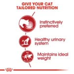 Royal Canin Instinctive Wet Cat Food - All Breed Adult - Image 2