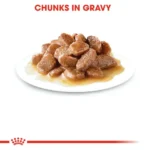 Royal Canin Instinctive Wet Cat Food - All Breed Adult - Image 5