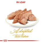 Royal Canin Persian Adult Wet Cat Food - Image 5