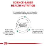 Royal Canin Diabetic Canine Dog Dry Food - Image 8