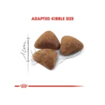 Royal Canin Indoor 27 Dry Cat Food - Image 2