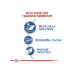 Royal Canin Indoor 27 Dry Cat Food - Image 7