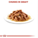Royal Canin Kitten Wet Food in Gravy (85g Pouch) - Image 4