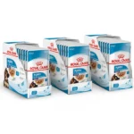 Royal Canin Maxi Puppy Wet Dog Food - Image 3