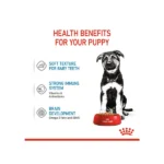 Royal Canin Maxi Puppy Wet Dog Food - Image 11