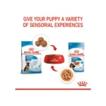 Royal Canin Maxi Puppy Wet Dog Food - Image 9