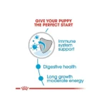 Royal Canin Maxi Puppy Wet Dog Food - Image 7