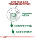 Royal Canin Mini Adult Wet Dog Food - Image 5