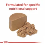 Royal Canin Veterinary Diet Gastrointestinal Puppy Food Can Wet Food - Image 2