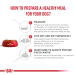 Royal Canin Veterinary Diet Renal Dog Dry Food - Image 3
