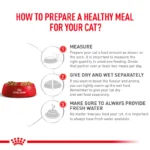 Royal Canin Veterinary Diet Renal Adult Cat Dry Food - Image 5
