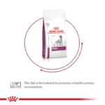 Royal Canin Veterinary Diet Renal Dog Dry Food - Image 2