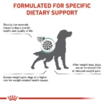 ROYAL CANIN VETERINARY DIET SATIETY WEIGHT MANAGEMENT DOG FOOD - Image 4