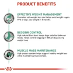 ROYAL CANIN VETERINARY DIET SATIETY WEIGHT MANAGEMENT DOG FOOD - Image 5
