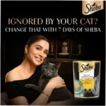 Sheba Tuna Pumpkin & Carrot In Gravy Adult Cat Wet Food - Image 4