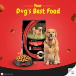 Purina SuperCoat with Chicken Smartblend Adult Dog Dry Food (1+ Years) - Image 3