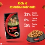 Purina SuperCoat with Chicken Smartblend Adult Dog Dry Food (1+ Years) - Image 10