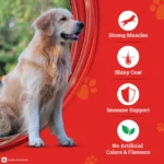 Purina SuperCoat with Chicken Smartblend Adult Dog Dry Food (1+ Years) - Image 9