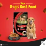 Purina SuperCoat with Chicken Smartblend Adult Dog Dry Food (1+ Years) - Image 5