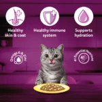Whiskas Adult Ocean Fish Wet Cat Food - 80g - Image 6