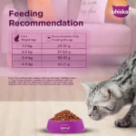 Whiskas Chicken Dry Cat Food - All Breed Adult (+1 year) - Image 9