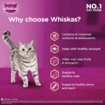 Whiskas Ocean Fish Flavour Dry Cat Food - All Breed Adult (+1 year) - Image 6
