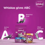 Whiskas Ocean Fish Flavour Dry Cat Food - All Breed Adult (+1 year) - Image 8