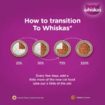 Whiskas Ocean Fish Kitten Dry Food - Image 11