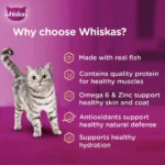 Whiskas Tuna in Jelly Kitten Cat Wet Food (80g) - Image 2