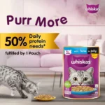 Whiskas Tuna in Jelly Kitten Cat Wet Food (80g) - Image 5