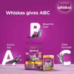 Whiskas Chicken Dry Cat Food - All Breed Adult (+1 year) - Image 5