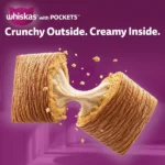 Whiskas Chicken Dry Cat Food - All Breed Adult (+1 year) - Image 6