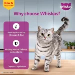 Whiskas Adult Chicken In Gravy Wet Cat Food - 80g - Image 3