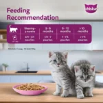 Whiskas Kitten Chicken in Gravy Wet Food - 80g - Image 7