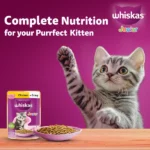 Whiskas Kitten Chicken in Gravy Wet Food - 80g - Image 6
