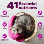 Whiskas Ocean Fish Kitten Dry Food - Image 12