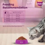 Whiskas Ocean Fish Kitten Dry Food - Image 10