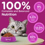 Whiskas Ocean Fish Kitten Dry Food - Image 6