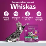 Whiskas Ocean Fish Kitten Dry Food - Image 8