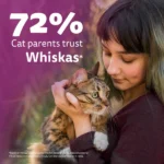Whiskas Ocean Fish Kitten Dry Food - Image 9