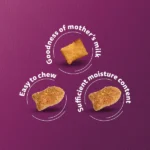 Whiskas Ocean Fish Kitten Dry Food - Image 2