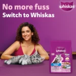 Whiskas Ocean Fish Kitten Dry Food - Image 3