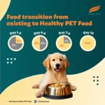 Himalaya Chicken & Rice Healthy Pet Puppy Dog Dry Food - Image 4