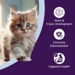 Purrfeto Chicken and Rice Kitten Cat Dry Food - Image 3